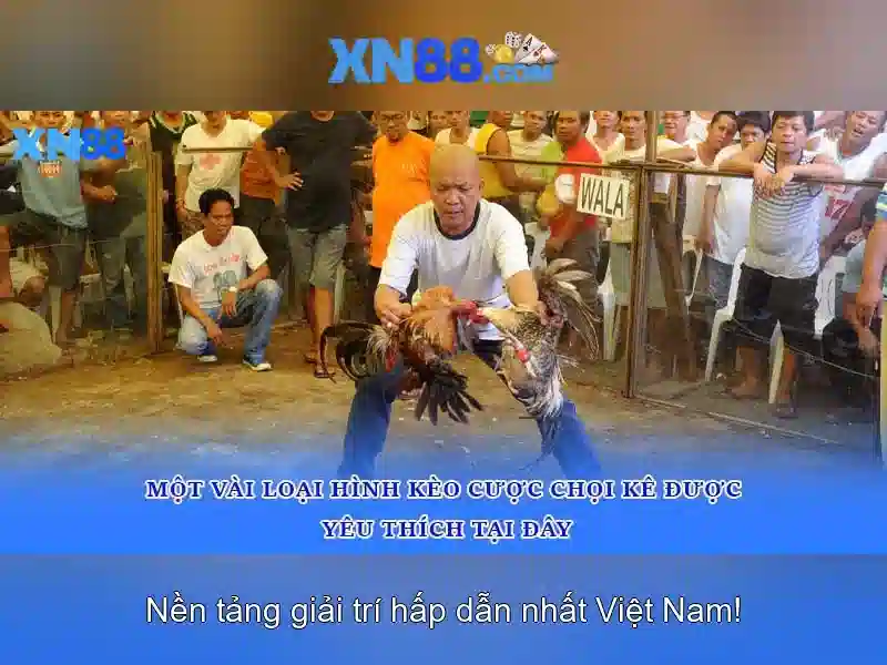 xn88 - Nền tảng trò chơi trực tuyến hàng đầu