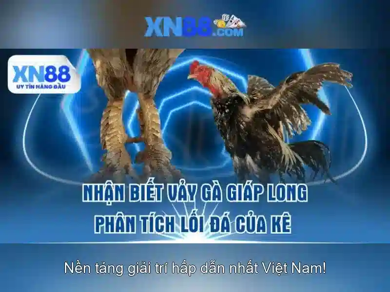 Hỗ trợ khách hàng và cộng đồng