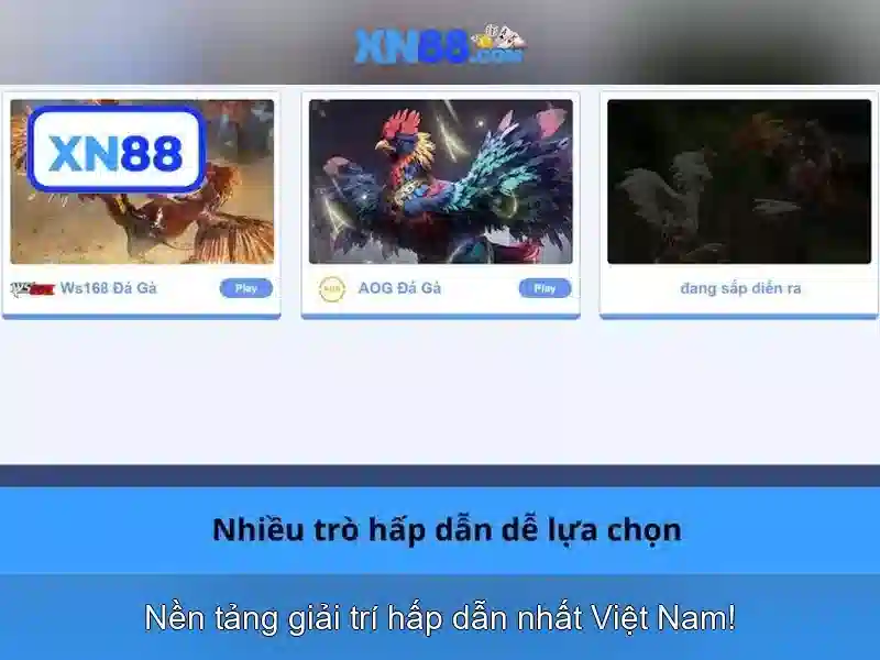 An toàn, bảo mật và thanh toán