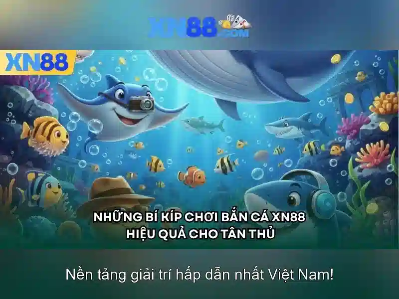 Đánh giá và hỗ trợ