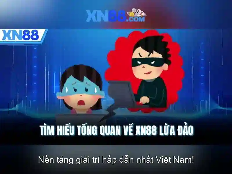 Lĩnh vực hoạt động và dịch vụ