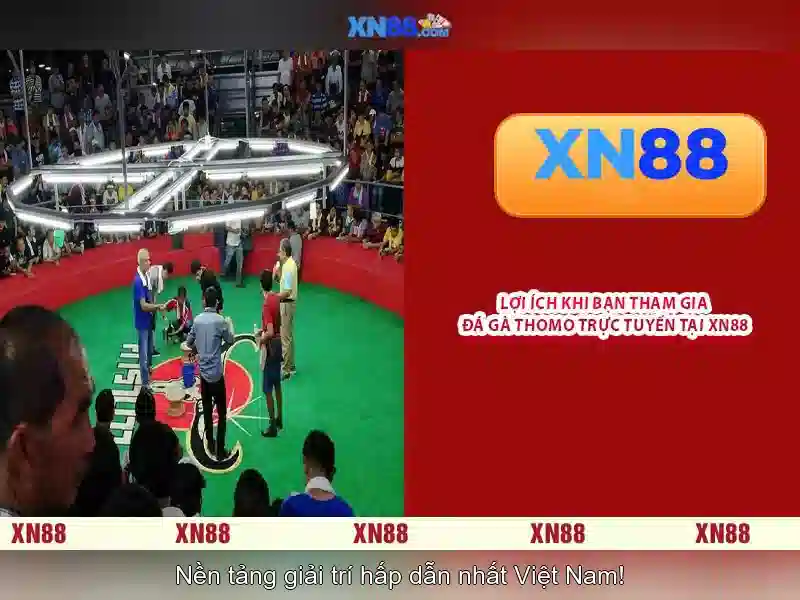 xn88 - Nền tảng giải trí trực tuyến và đánh giá tổng quan