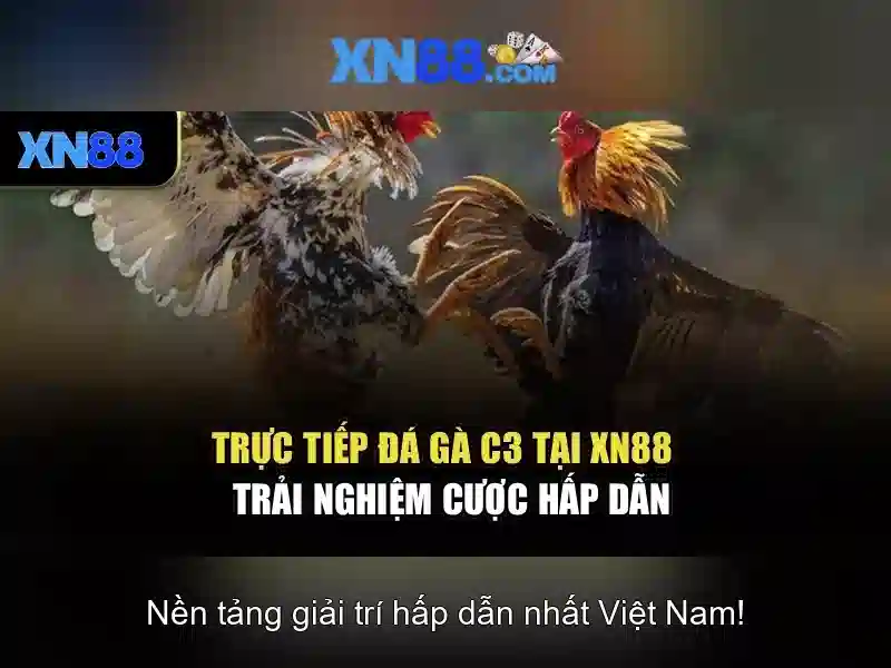 xn88 là gì và các điều cần biết