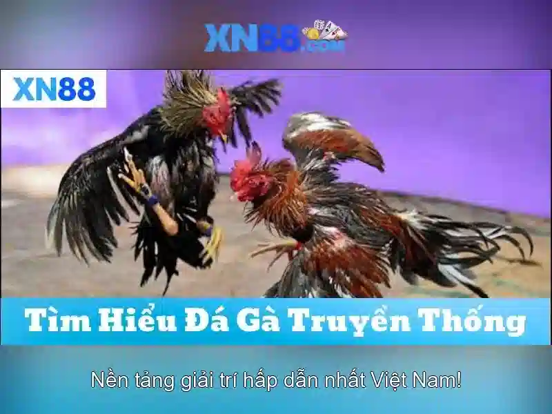 xn88: Tổng quan và hướng dẫn cho người chơi Việt