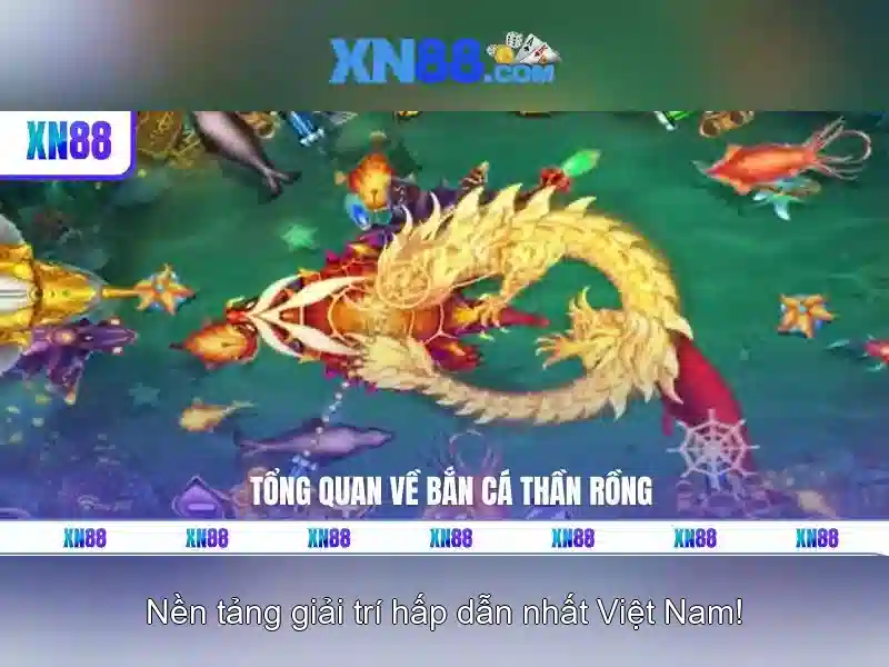 Xn88: Nền tảng giải trí trực tuyến và tiềm năng