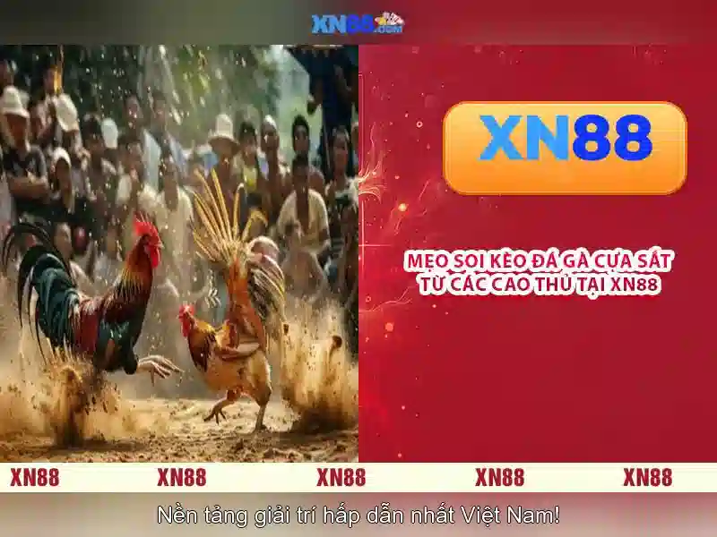 An toàn và bảo mật