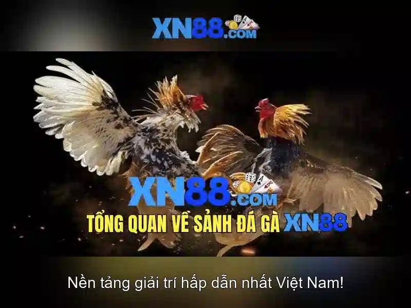 Pháp lý và tên miền