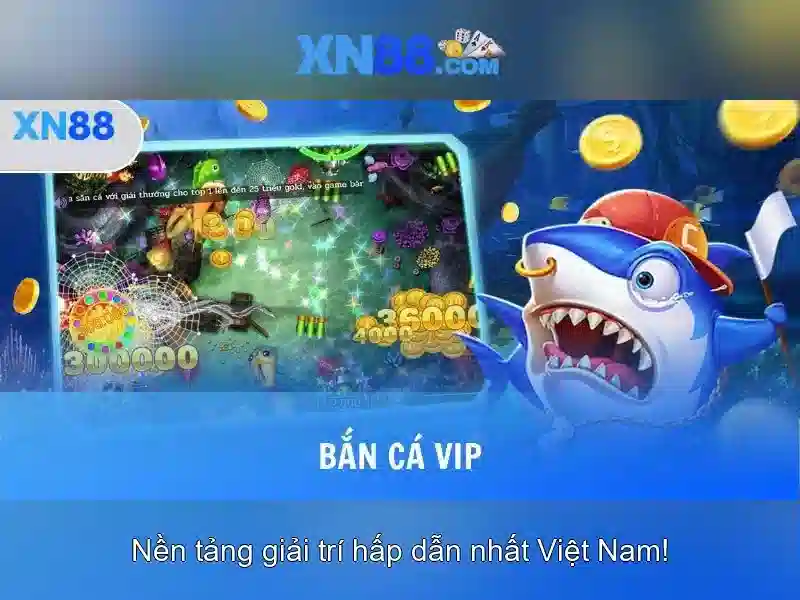 Lịch sử của XN88