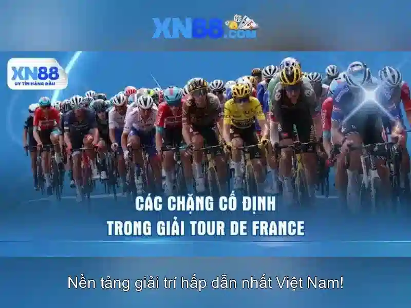 Trải nghiệm người dùng và hỗ trợ