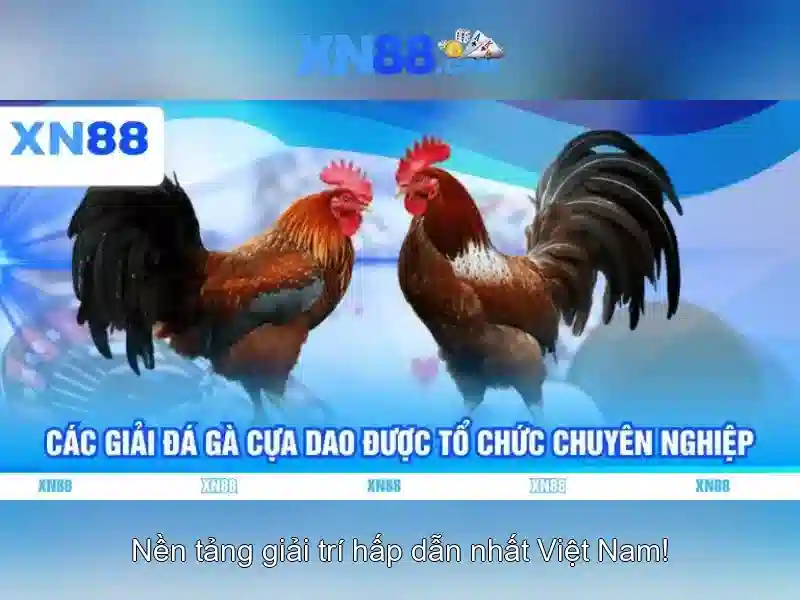 xn88: Nguồn gốc, hoạt động và an toàn trên mạng