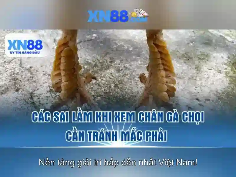 xn88 là gì và mục đích của nền tảng