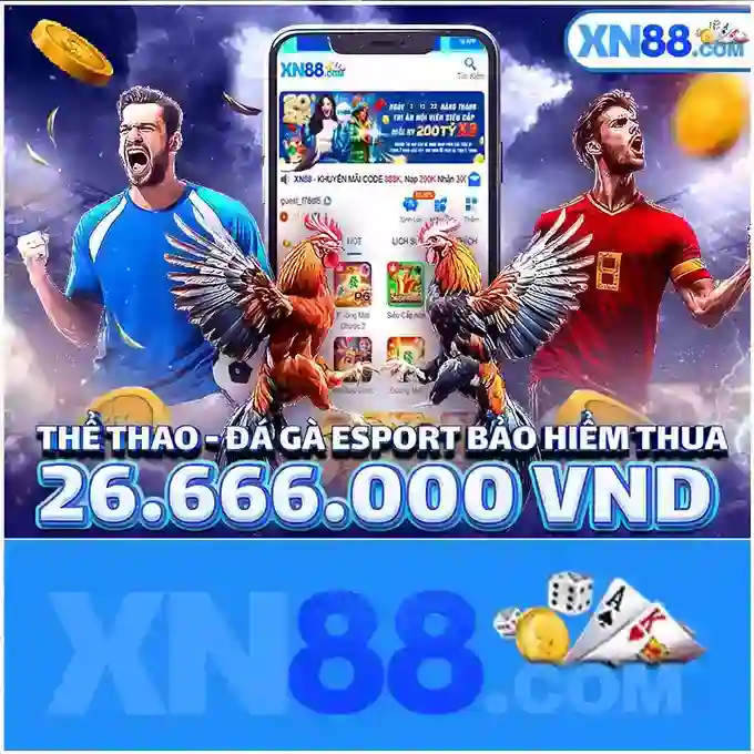 Dịch vụ chính của xn88
